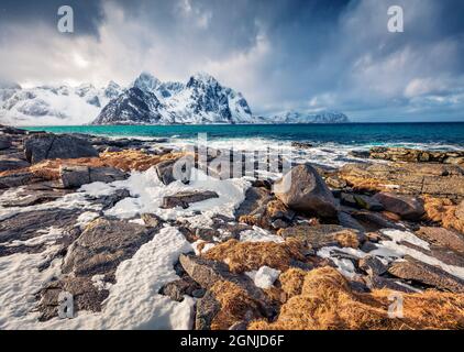 Düstere Frühlingsansicht der Lofoten-Inseln. Schmelzender Schnee auf dem Flakstadpollen-Fjord. Wunderschöne morgendliche Meereslandschaft des norwegischen Meeres. Leben über dem Polarkreis. Reise Stockfoto