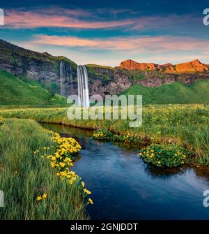 Aufregender Sonnenuntergang am beliebten Touristenziel - Seljalandsfoss Wasserfall, wo Touristen hinter dem fallenden Wasser spazieren können. Pictuewsque Sommerszene Stockfoto