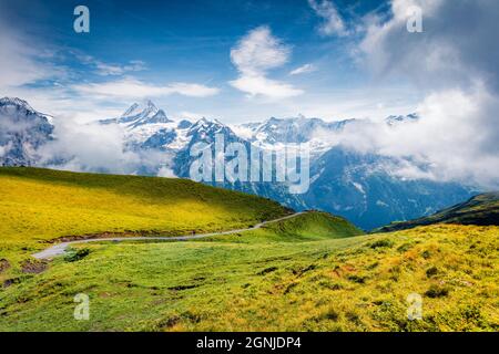 Nebliger Blick auf den Schreckhorn-Gipfel im Sommer. Erstaunliche Morgenszene der Berner Schweizer Alpen, der Schweiz, Europas. Schönheit der Natur Konzept Hintergrund. Stockfoto