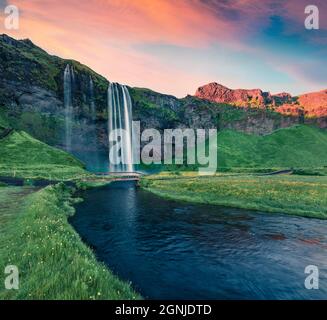 Atemberaubender Sonnenaufgang am Seljalandfoss Wasserfall. Fantastische Outdoor-Szene von Seljalandsa Rive. Wunderbarer Sommermorgen in Island, Europa. Die Schönheit der Natur Stockfoto