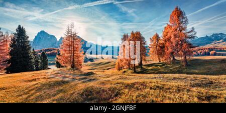 Herbstpanorama der Seiser Alm Hochebene. Farbenfrohe Morgenszene der Dolomiten, St. Ulrich, Italien, Europa. Schönheit der Länder Stockfoto