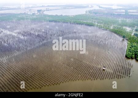 Huaxian, Huaxian, China. September 2021. 25. September 2021, Hochwasser nach heftigen Regenfällen in Huaxian, Henan.seit der Hochwassersaison in diesem Jahr hat der Landkreis Huaxian, Provinz Henan, mehrere Runden heftiger Regenfälle erlebt und der Bodenfeuchtegehalt ist stark gesättigt. Vom 24. Bis 25. September fiel der Landkreis Huaxian in heftigen Regen. Aufgrund der anhaltenden Regenfälle im oberen Bereich des Flusses Weihe und der Überschwemmungsflut aus dem Panshitou-Stausee wurde das Hochwasserlager- und Haftgebiet des Ã¢â‚¬''¹Ã¢â‚¬''¹Weihe Changhong-Kanals wieder zu Zeguo, und die Wasseransammlung nahm weiter zu Stockfoto