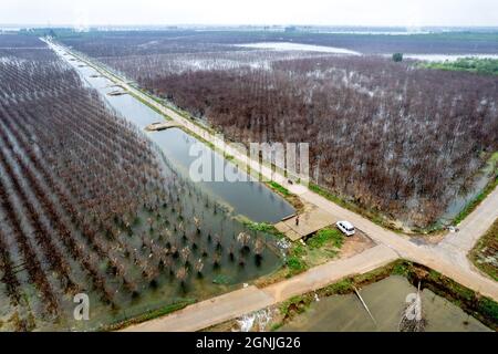 Huaxian, Huaxian, China. September 2021. 25. September 2021, Hochwasser nach heftigen Regenfällen in Huaxian, Henan.seit der Hochwassersaison in diesem Jahr hat der Landkreis Huaxian, Provinz Henan, mehrere Runden heftiger Regenfälle erlebt und der Bodenfeuchtegehalt ist stark gesättigt. Vom 24. Bis 25. September fiel der Landkreis Huaxian in heftigen Regen. Aufgrund der anhaltenden Regenfälle im oberen Bereich des Flusses Weihe und der Überschwemmungsflut aus dem Panshitou-Stausee wurde das Hochwasserlager- und Haftgebiet des Ã¢â‚¬''¹Ã¢â‚¬''¹Weihe Changhong-Kanals wieder zu Zeguo, und die Wasseransammlung nahm weiter zu Stockfoto