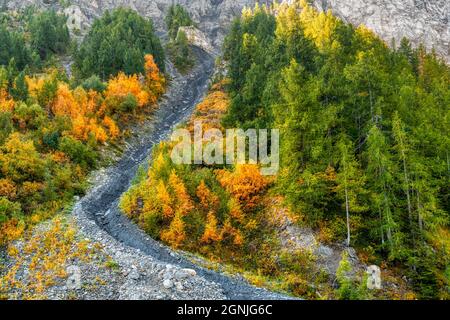 Farben der Herbstsaison in den wilden Vinschgau, Aostatal Stockfoto