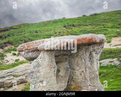 Pilzförmige Felsformationen genannt Babele (die alten Frauen) in Bucegi Gebirge Hochebene in Rumänien. Eines der beliebtesten Reiseziele in Stockfoto