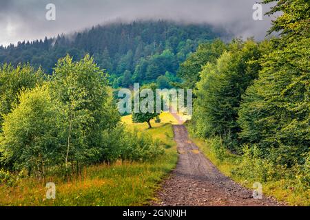 Alte Landstraße im nebligen Berg. Attraktive Sommerszene am Stadtrand von kVASy Dorf, Karpaten, Ukraine. Farbenfrohe Morgenansicht der Berge Stockfoto