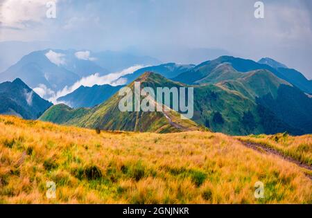 Berghügel nach dem Regen. Dramatische Sommerszene von Krasna Range mit alter Landstraße. Wunderschöne Aussicht auf die nebligen Karpaten, Ukra Stockfoto