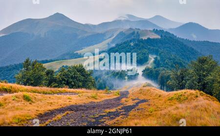 Berghügel nach dem Regen. Neblige Sommerszene von Krasna Range mit alter Landstraße. Herrliche Morgenansicht der nebligen Karpaten Berge, Ukraine, Stockfoto