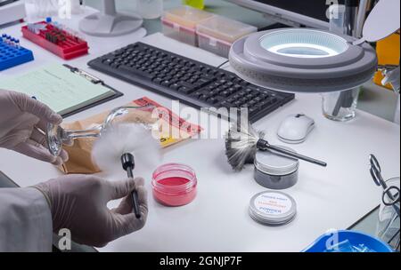 Die Expertentespolizei erhält im Kriminalistischen Labor, konzeptuelles Bild, die Refraktionierung einer zerbrochenen Glasflasche Stockfoto