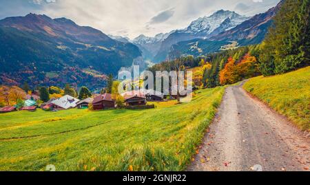 Herrliche Herbstansicht des Dorfes Wengen, Ortsteil Lauterbrunnen. Düstere Morgenszene der Schweizer Alpen. Dramatische Herbstlandschaft der Schweiz Gräfin Stockfoto