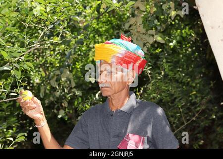 Nahaufnahme eines indischen Senior Farmers, der nach Rajasthani-Kultur und Tradition gekleidet ist und einen bunten Turban auf dem Kopf trägt.Farmer ch Stockfoto