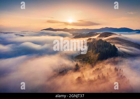 Magischer Sonnenaufgang in den Karpaten. Atemberaubende Morgenansicht von der fliegenden Drohne des nebligen Tals. Dichter Nebel breitet sich über die Bergketten aus. Schönheit Stockfoto