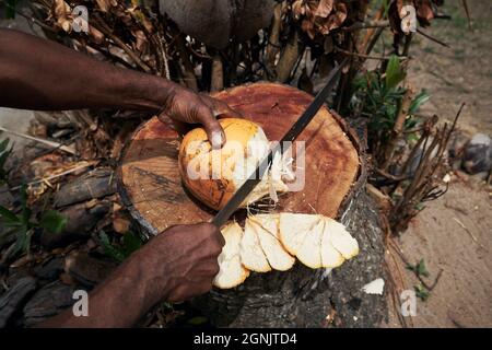 Mann schneide frische Kokosnuss mit Machete auf dem lokalen Markt auf den Seychellen. Stockfoto