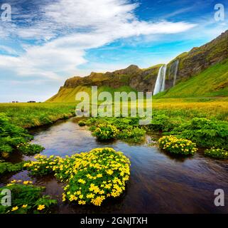 Herrliche Sommeransicht des Seljalandfoss Wasserfalls auf dem Seljalandsa Fluss. Atemberaubende Morgenszene von Island, Europa. Schönheit der Natur Konzept Hintergrund. Stockfoto