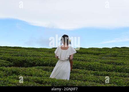 Vietnamesisches Mädchen in cremefarbenem Maxi-Kleid, das an einem sonnigen Tag mitten auf dem grünen Teefeld steht. Stockfoto