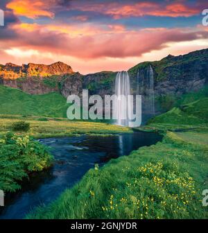 Wunderschöne Sommerlandschaft. Malerischer Sonnenaufgang am Seljalandfoss Wasserfall. Aufregende Outdoor-Szene von Seljalandsa Rive. Perfekter Sommermorgen in Isländer Stockfoto