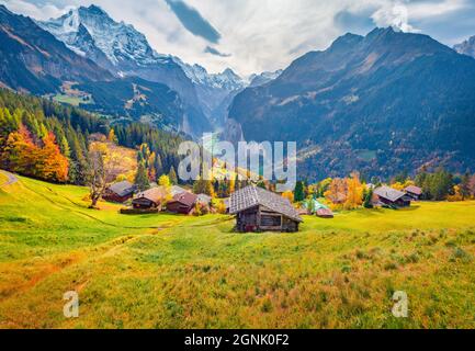 Wunderschöne Herbstlandschaft. Farbenfrohe Herbstansicht des Dorfes Wengen, Bezirk Lauterbrunnen. Düstere Morgenszene der Schweizer Alpen. Schöne Herbstlandschaft Stockfoto