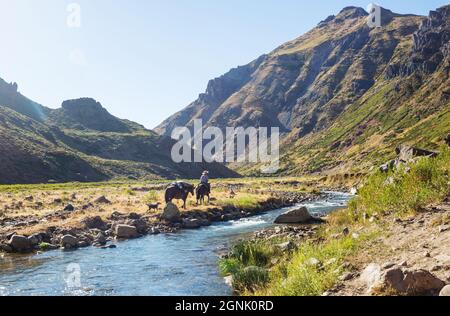 Gauchos in Patagonien, Argentinien Stockfoto