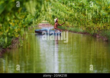 Vietnamesischer alter Mann Landwirt, der den Ertrag hält, indem er über dem Traditionsboot auf dem See in einem Kürbisgarten im vietnamesischen Stil steht, ein phu, ein Giang-Provinc Stockfoto