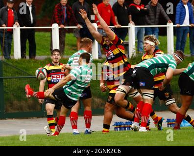 Carmarthen Quins RFC / Llandovery RFC 2021 Stockfoto