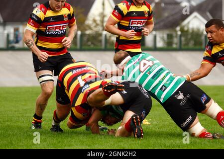 Carmarthen Quins RFC / Llandovery RFC 2021 Stockfoto