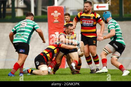 Carmarthen Quins RFC / Llandovery RFC 2021 Stockfoto