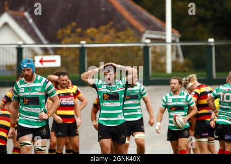 Carmarthen Quins RFC / Llandovery RFC 2021 Stockfoto