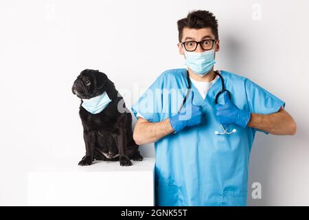 Kleine schwarze Mops Hund in medizinische Maske Blick links auf Kopie Raum während Arzt Tierarzt zeigt Daumen nach oben in Lob und Genehmigung, weißer Hintergrund Stockfoto