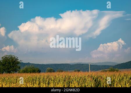 Gewitter mit großem Amboss über den Karpaten nahe der rumänisch-ukrainischen Grenze Stockfoto