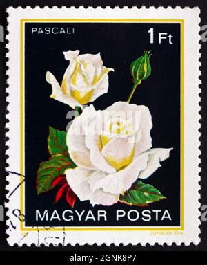 UNGARN - UM 1982: Eine in Ungarn gedruckte Briefmarke zeigt Pascali, Rose, um 1982 Stockfoto