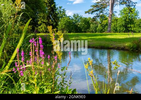 Bad Muskau an der polnischen Grenze, mit einem herrlichen Park und Schluss vom Fürst Pückler / Grenze zu Polen, Fürst Pückler Park mit Schloss Stockfoto