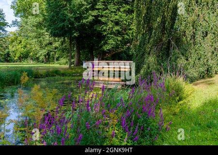 Bad Muskau an der polnischen Grenze, mit einem herrlichen Park und Schluss vom Fürst Pückler / Grenze zu Polen, Fürst Pückler Park mit Schloss Stockfoto