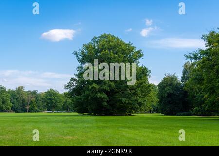 Bad Muskau an der polnischen Grenze, mit einem herrlichen Park und Schluss vom Fürst Pückler / Grenze zu Polen, Fürst Pückler Park mit Schloss Stockfoto