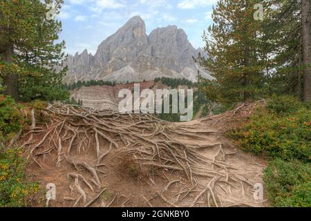 Peitlerkofel, Passo delle Erbe, Gadertal, Südtirol, Dolomiten, Südtirol, Italien Stockfoto