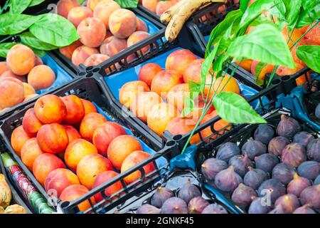 Verschiedene Sorten von Pfirsichen auf einem lokalen Basar kemer türkei zu verkaufen. Frisches Obst für Saft. Stockfoto