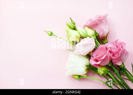 Schöne rosa eustoma Blüten (lisianthus) in voller Blüte mit Knospen Blätter. Blumenstrauß auf rosa Hintergrund. Speicherplatz kopieren Stockfoto