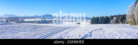 Winterliche Landschaft mit Langlauf-Loipe nahe Wald im Unterallgäu. Stockfoto