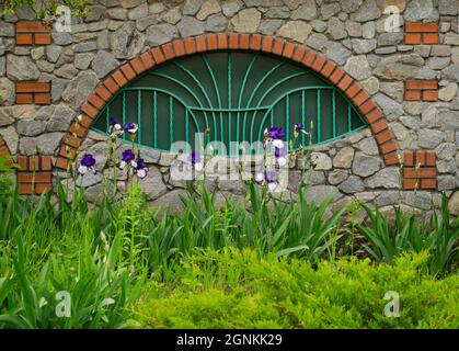 Ein Blumenbeet mit Iris in der Nähe eines gepflasterten Steinzauns mit einem dekorativen Gitter. Gartenkunst-Konzept, Lanshat-Design. Stockfoto