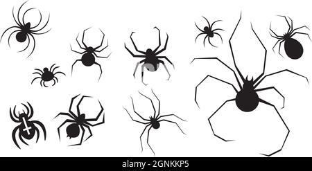 Set von Spinnen Element für den Urlaub Halloween - Vektor-Illustration Stock Vektor
