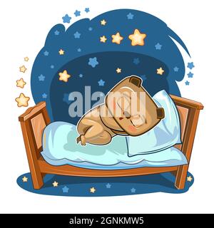 Baby Bear schläft im Bett. Träumen. Nacht und Sterne. Illustration für Kinder. Schönes Baby Tier schlief ein. Cartoon-Stil Bild. Isoliert auf weißem Bac Stock Vektor