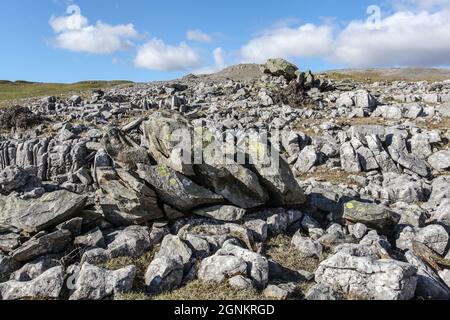 Klassische Landformen der Britischen Inseln - die Norber Erratics Stockfoto