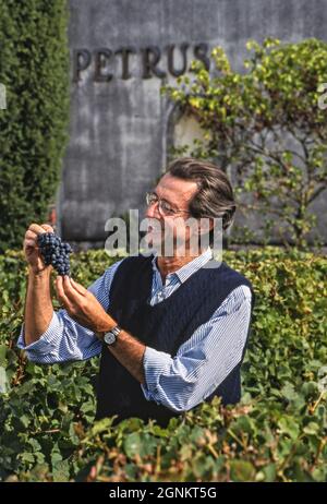 Christian Moueix lächelndes historisches Bild mit einem Bund merlot-Trauben zur Erntezeit im Weinberg von Château Pétros, Pomerol, Gironde, Frankreich. ... Stockfoto