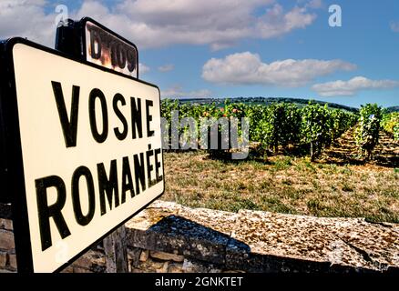 Vosne Romanée Village Straßenschild und Weinberg am Eingang zum Weindorf Vosne-Romanee ist die kleine Gemeinde Vosne-Romanée der hellste Stern der Côte de Nuits, die die besten und teuersten Pinot Noir Weine der Welt produziert und nicht weniger als acht Grand Cru Weinberge besitzt. Cote de Nuits France Stockfoto