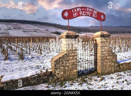 WEINBERG CLOS de la ROCHE WINTER BURGUND Schnee rustikalen Eingangstor und Schild zu Henri Remy Grand Cru Clos de la Roche Weinberg, Morey-St-Denis, Côte d'Or, Frankreich. Stockfoto