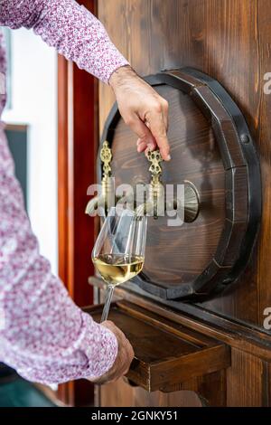 Person, die Wein aus einem Weinfass ausgießt. Reifer Sommelier im Keller des Weinguts gießt Rotwein in langstielige Weingläser. Stockfoto