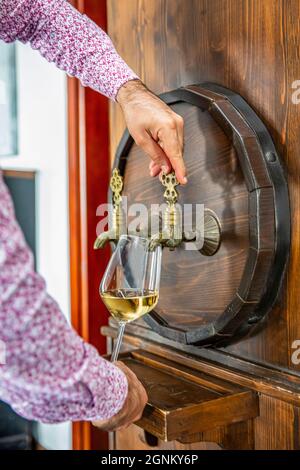 Person, die Wein aus einem Weinfass ausgießt. Reifer Sommelier im Keller des Weinguts gießt Rotwein in langstielige Weingläser. Stockfoto