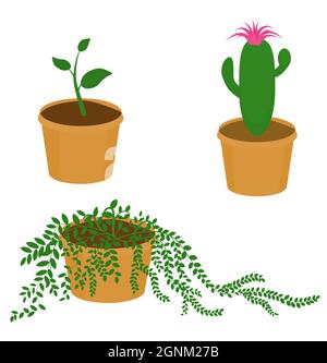 Set von verschiedenen Hause Topfpflanze isoliert auf weiß. Vektorgrafik Cartoon-Illustration. Stock Vektor