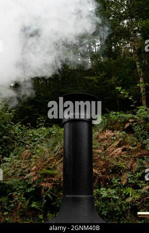 Dampflokomotivschornstein, der weißen Rauch durch den walisischen Wald bläst Stockfoto