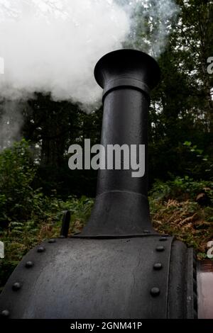 Dampflokomotivschornstein mit weißem Rauch, der gegen grüne Bäume weht Stockfoto