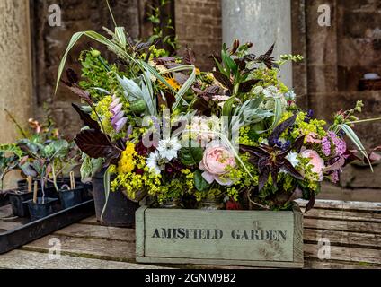 Blumensträuße zu verkaufen, Amisfield Walled Garden, East Lothian, Schottland, Großbritannien Stockfoto